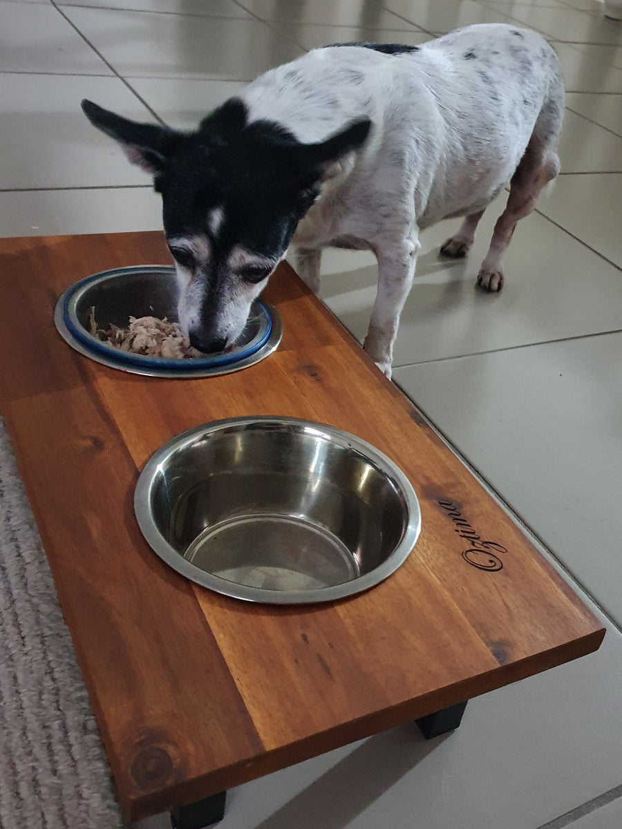 Dog feeding station australia hotsell