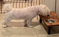 Elevated Small Dog Feeding Station with 2 Stainless Steel Bowls Flat Pack