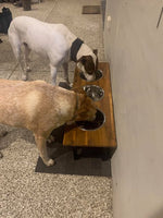 Elevated Medium Triple Dog Feeding Station with 3 x Stainless Steel Dishes Flat Pack